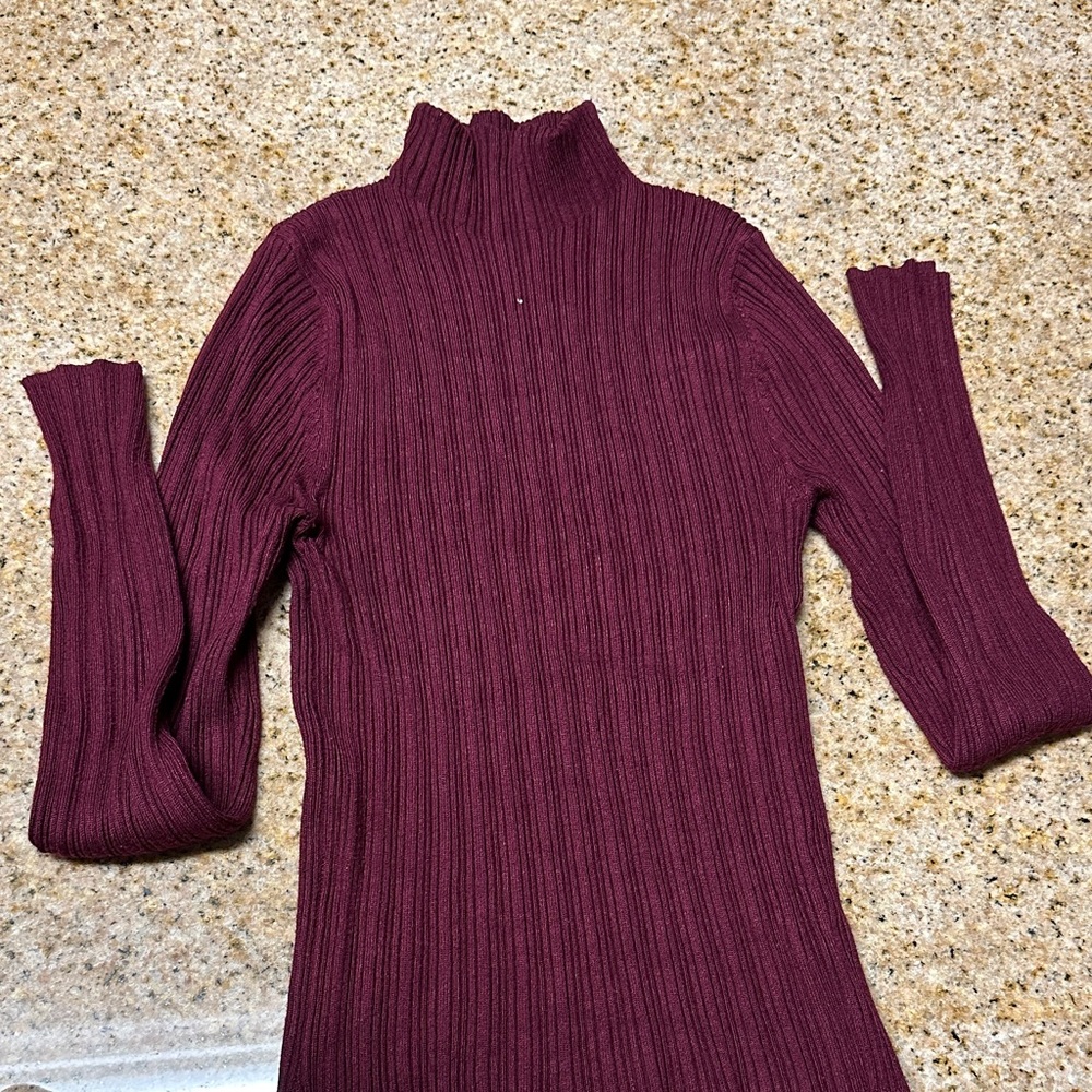 Ambiance Burgundy Long Sleeve Top